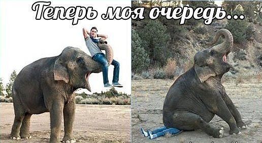 Позитивные картинки и комментарии.