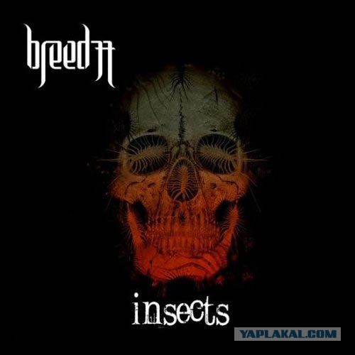Одни из самых красивых обложек heavy metal !