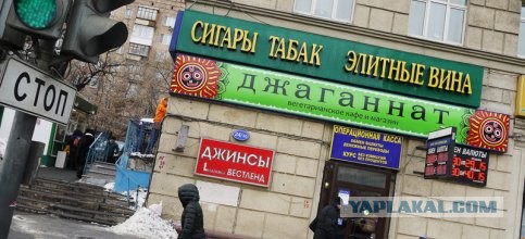 "Ёлки-Палки"!