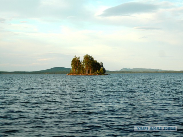 Две недели на Иовском водохранилище. Соколозеро.