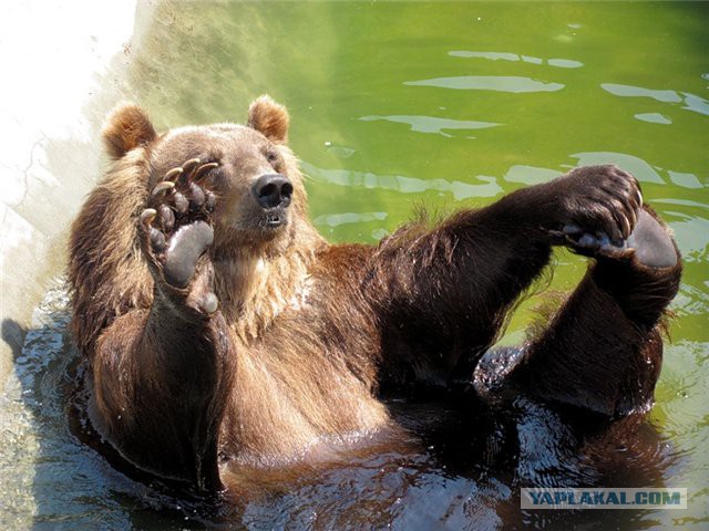Кому юки отсыпать?