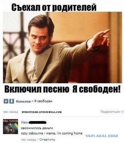 Смешные комментарии из социальных сетей