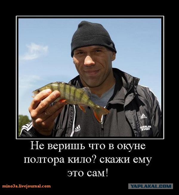 Валуев сходил в грибы