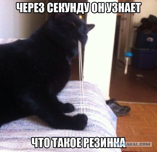 Пятница, картинки для поднятия настроения