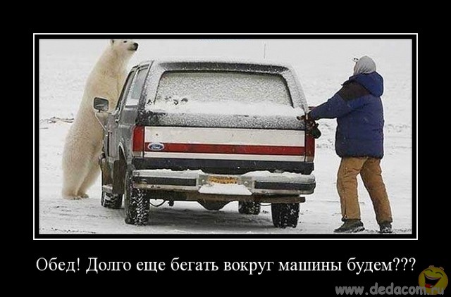 Весёлые картинки