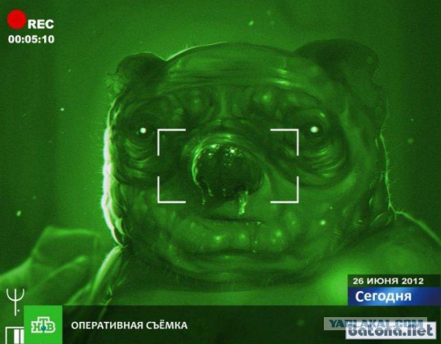 Всякая хренотень