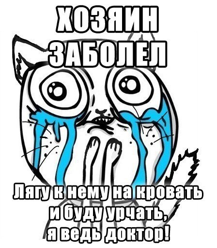 Почему кошка ложится на больное место человека?