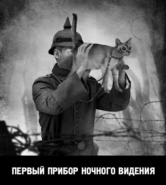 Немного картинок перед понедельником