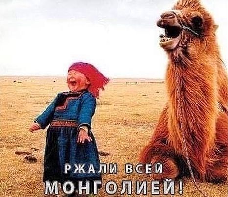 Почему мы не боимся войны?