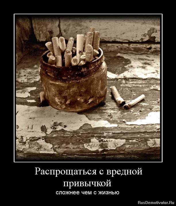 Вы хотите "демов"? часть 2-я