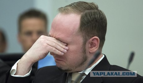 Мини-юбки немецких школьниц оскорбляют мигрантов