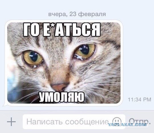 Плюшкиным посвящается
