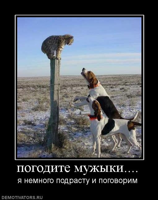 Картинки на пятницу