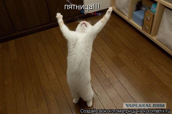 Подборка приколов на пятницу