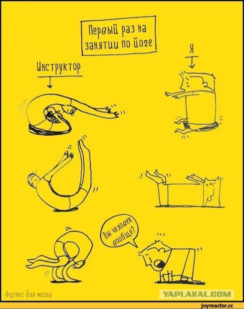 Знакомьтесь: Haley Viloria