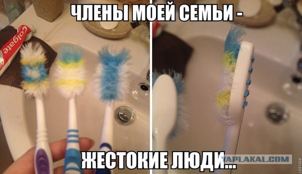 Приколы из сети