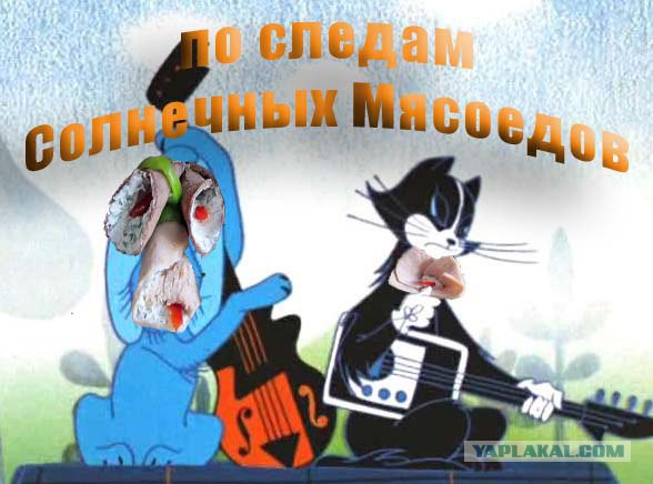 Первый этап конкурса "Кулинар-2015" (Опытные)