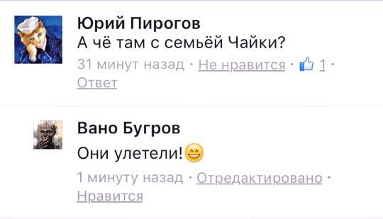 Песков объяснил, почему расследование о семье