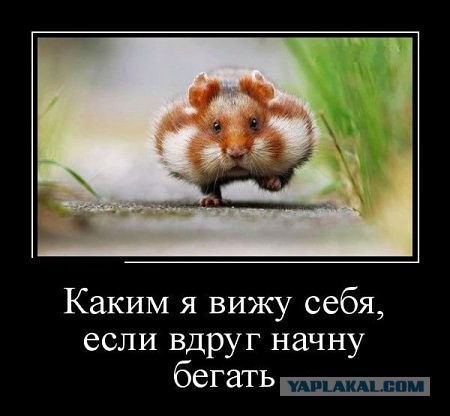 Картинки и демотиваторы