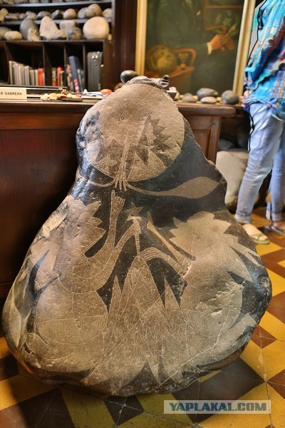 Отчет о путешествии в  Перу