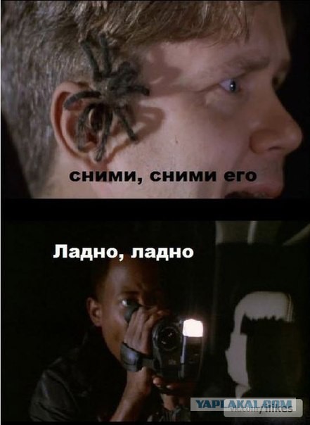 Злые шутки или минутка сарказма на ЯП-е, 16+