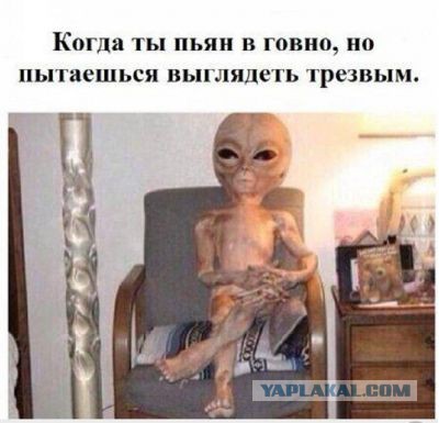 Картинки с надписями