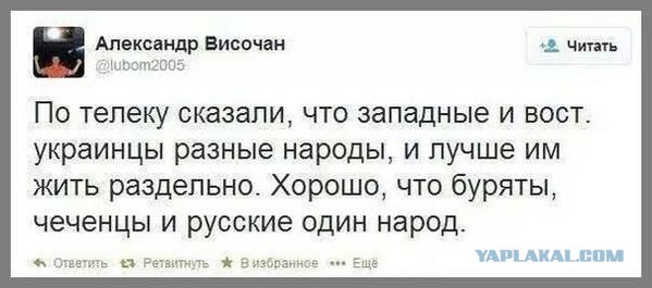 Подборка веселых картинок на выходные