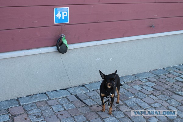 Подборка картинок