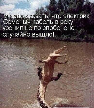 Крокодил съел черепаху
