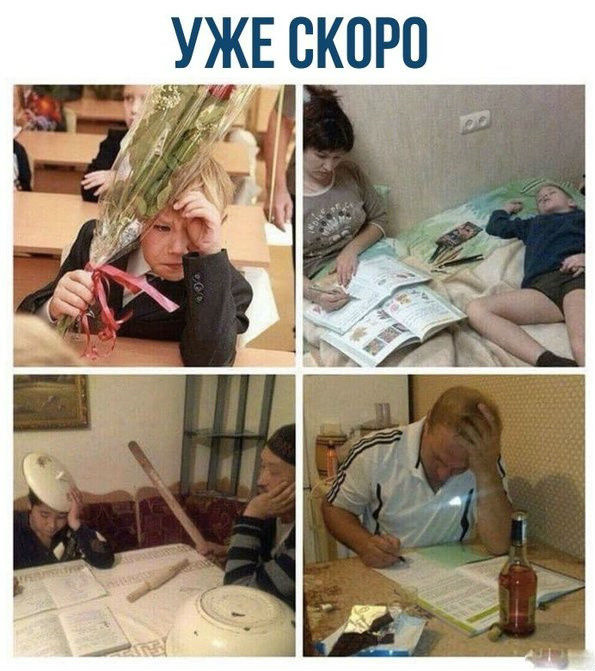 Подборка интересных и веселых картинок