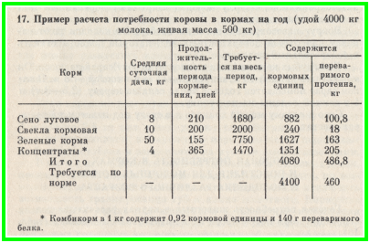 Автолавка. Выжить в русской деревне