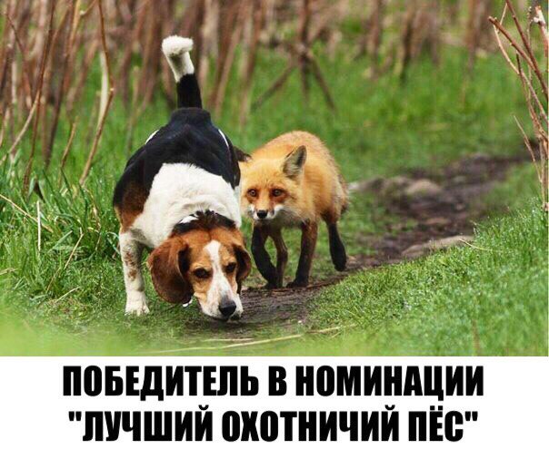 150 картинок для поднятия настроения!