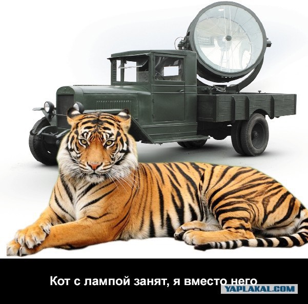 Как наши дети стали доказывать, что лучше бы победили немцы.