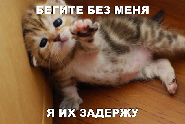 Будет чего-то из сетей