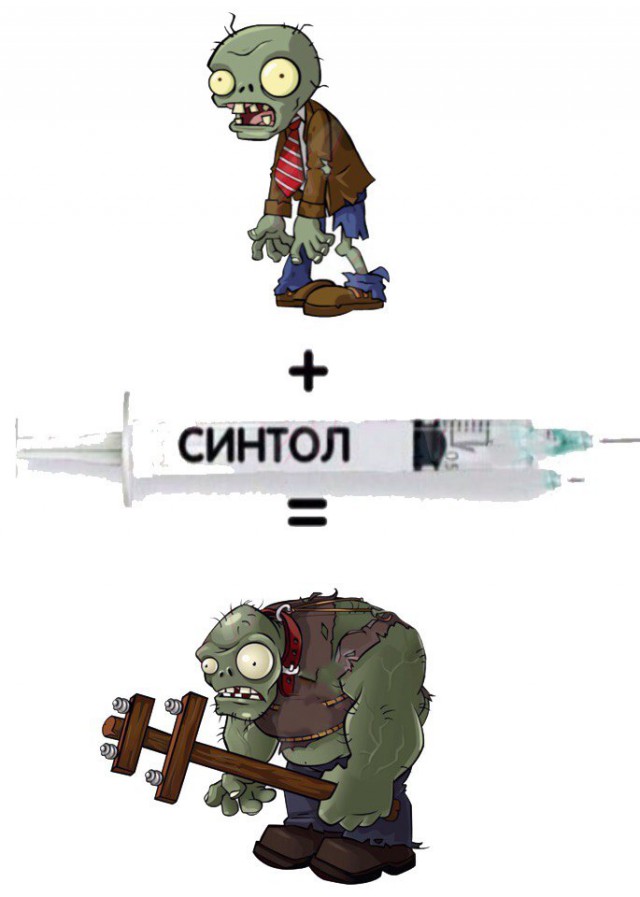 Синтол головного мозга