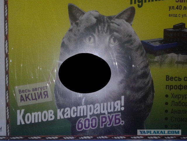 Маркетологи и рекламщики, которые знают, чем зацепить клиента