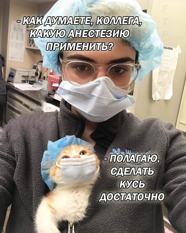 Истории врачей, Злой медик