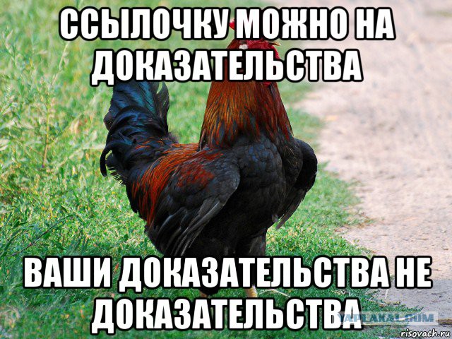 Патриарх Кирилл негодует! Он рассказал о распространении язычества среди спортсменов и бойцов спецназа