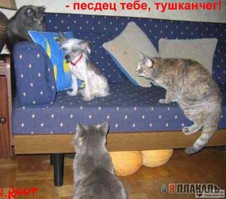 Не хочу!!!