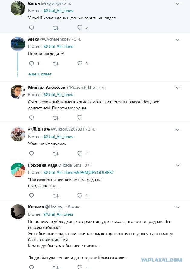Прямой репортаж ЯПовца с места вынужденной посадки А321 "Уральских авиалиний" в Подмосковье