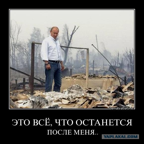 Владимир Владимирович смотрит на своего преемника