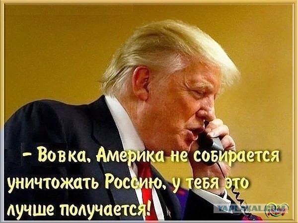 Первый канал скрыл счётчик лайков под новогодним обращением Путина