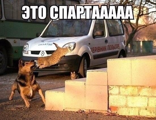 Древние мемы с ВК. Для тех кто забыл #6