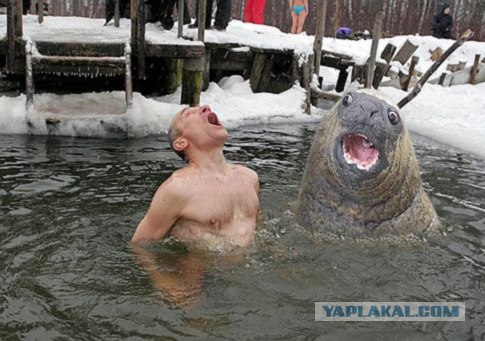 Фотожаба: Отличная водичка!