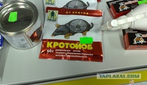 Прикольных фото пост