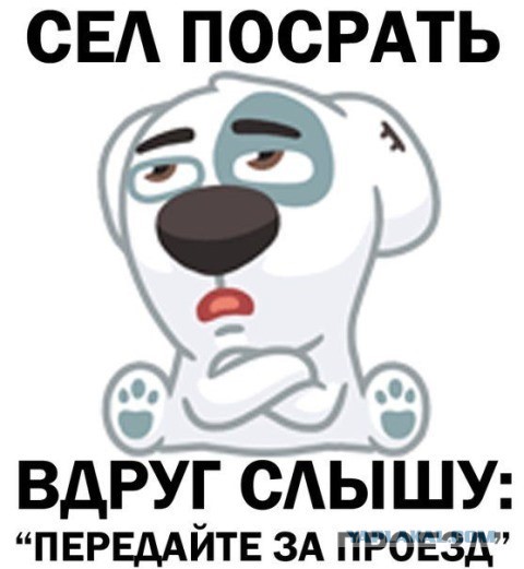 Картинки с надписями и всякие жизненные фразы