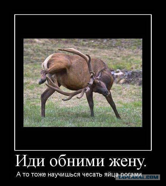 В разводе всегда виновата женщина