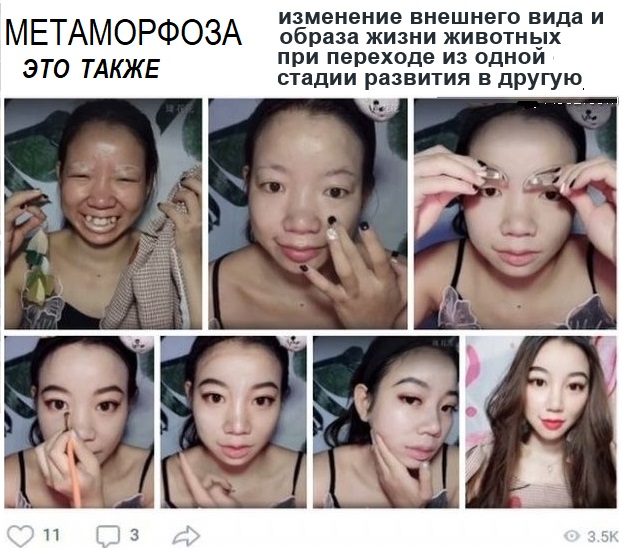 Картинки с надписями и всякие жизненные фразы