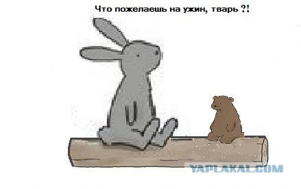 Эгоизм.