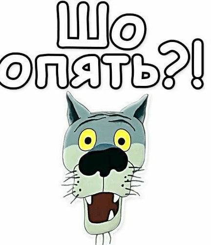 Массовая драка на турнире по дзюдо в Дагестане